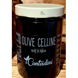 OLIVE CELLINE